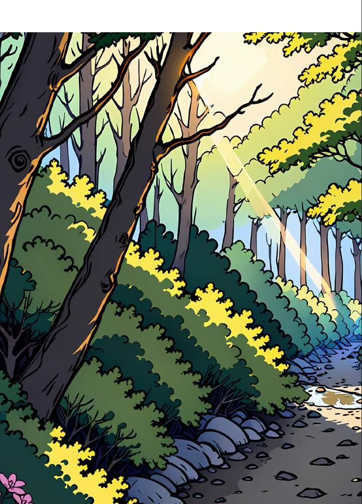 Image de la BD
