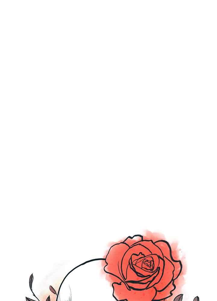 Image de la BD