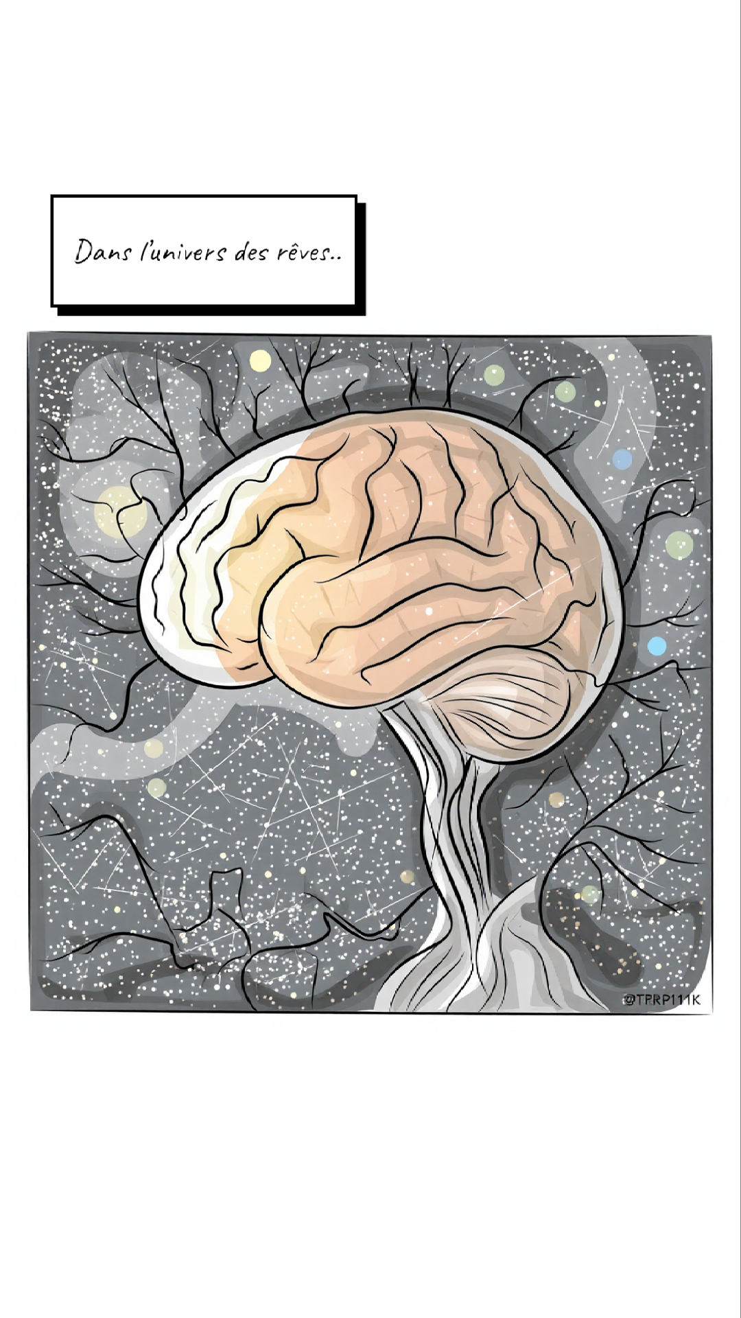 Image de la BD