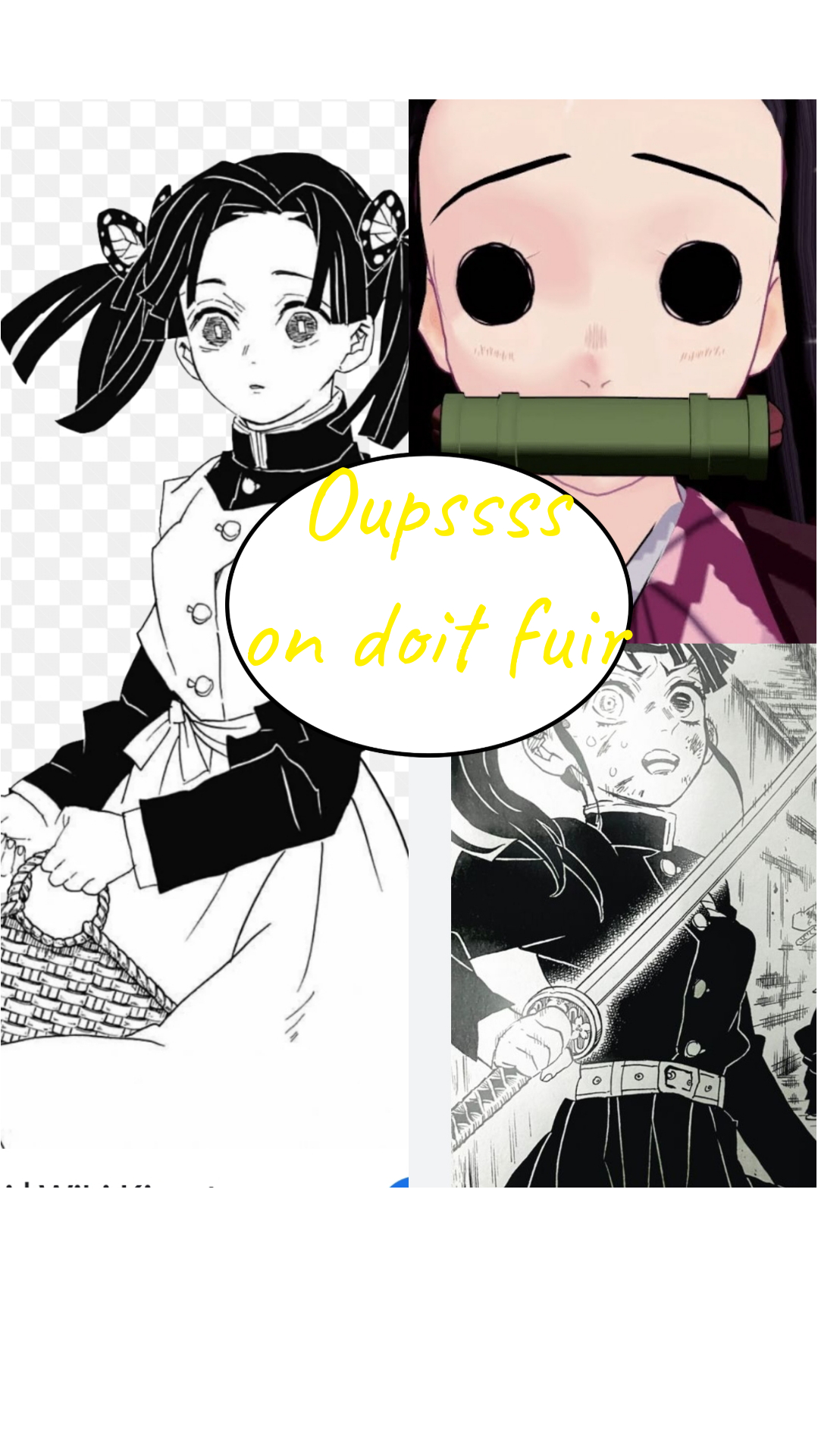 Image de la BD