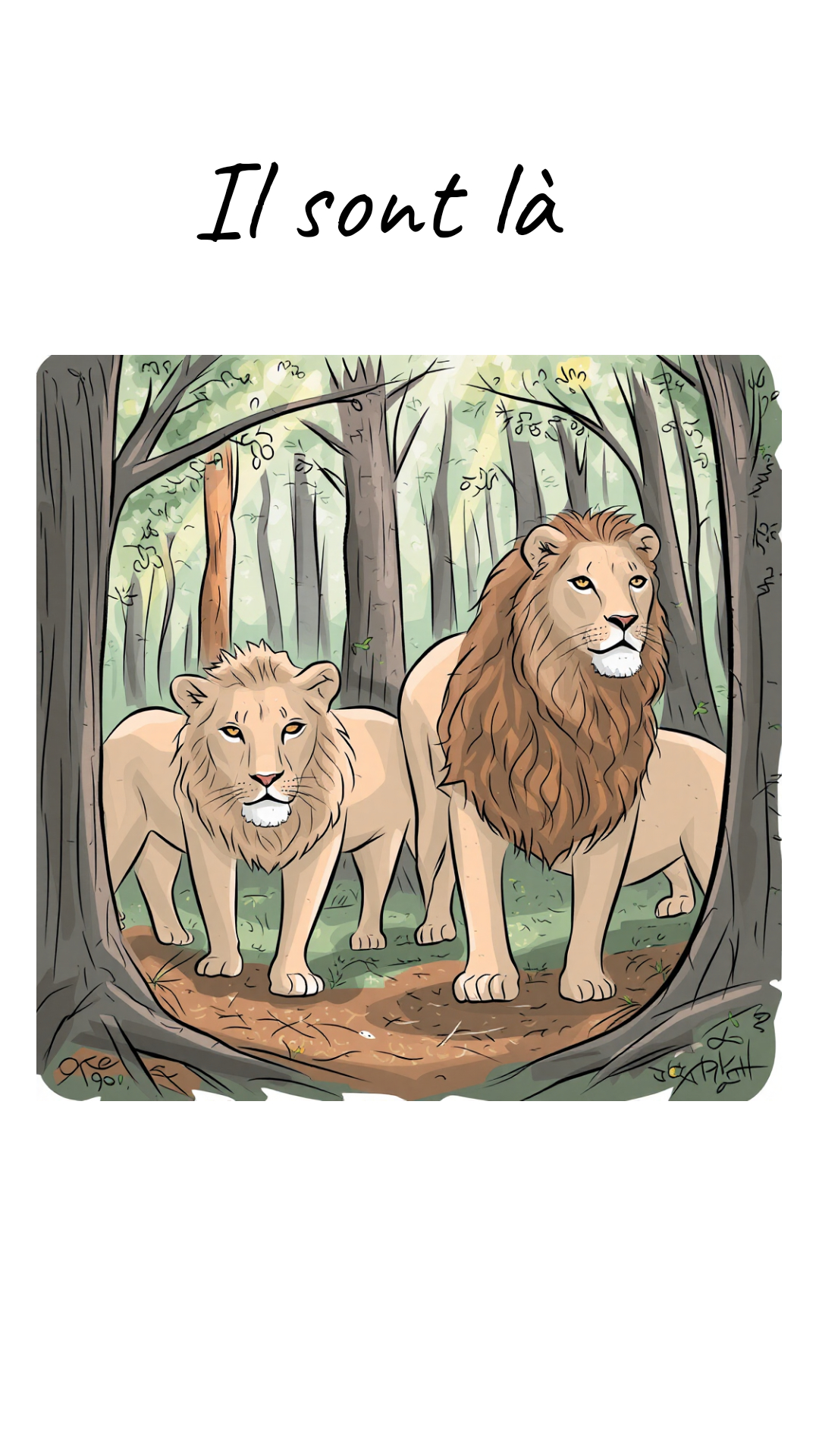 Image de la BD