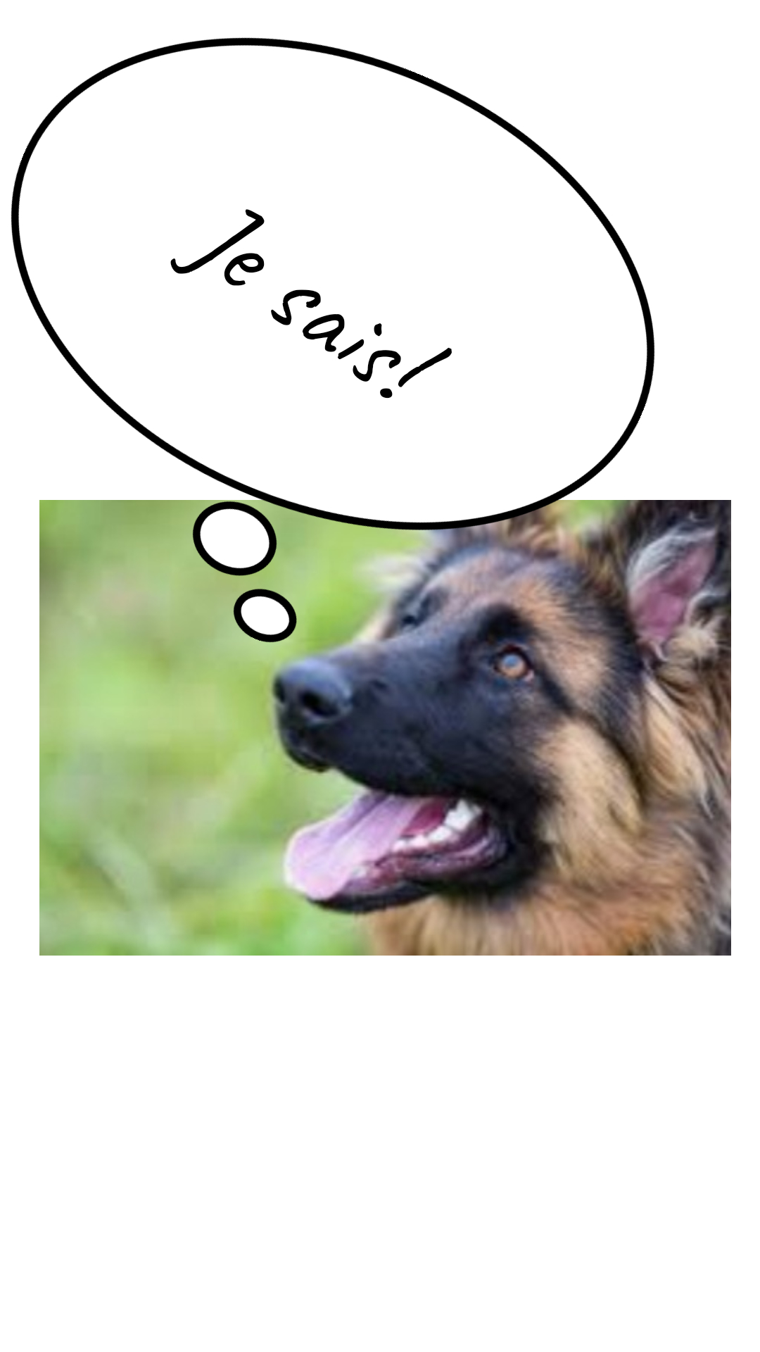 Image de la BD
