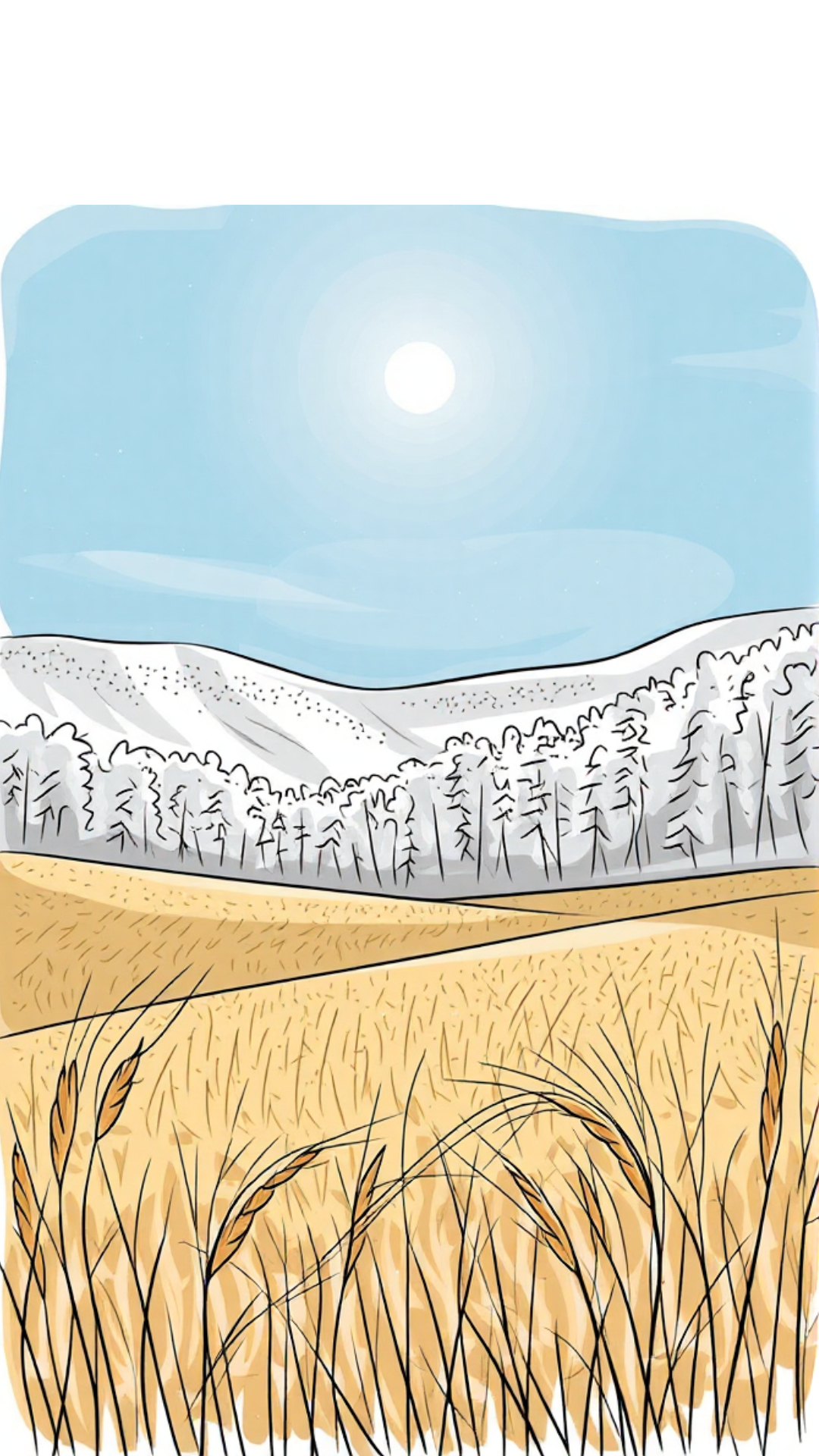 Image de la BD
