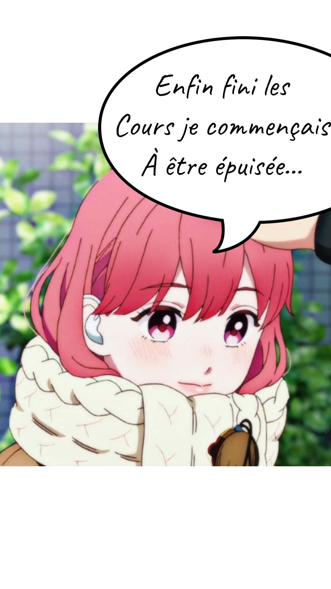 Image de la BD