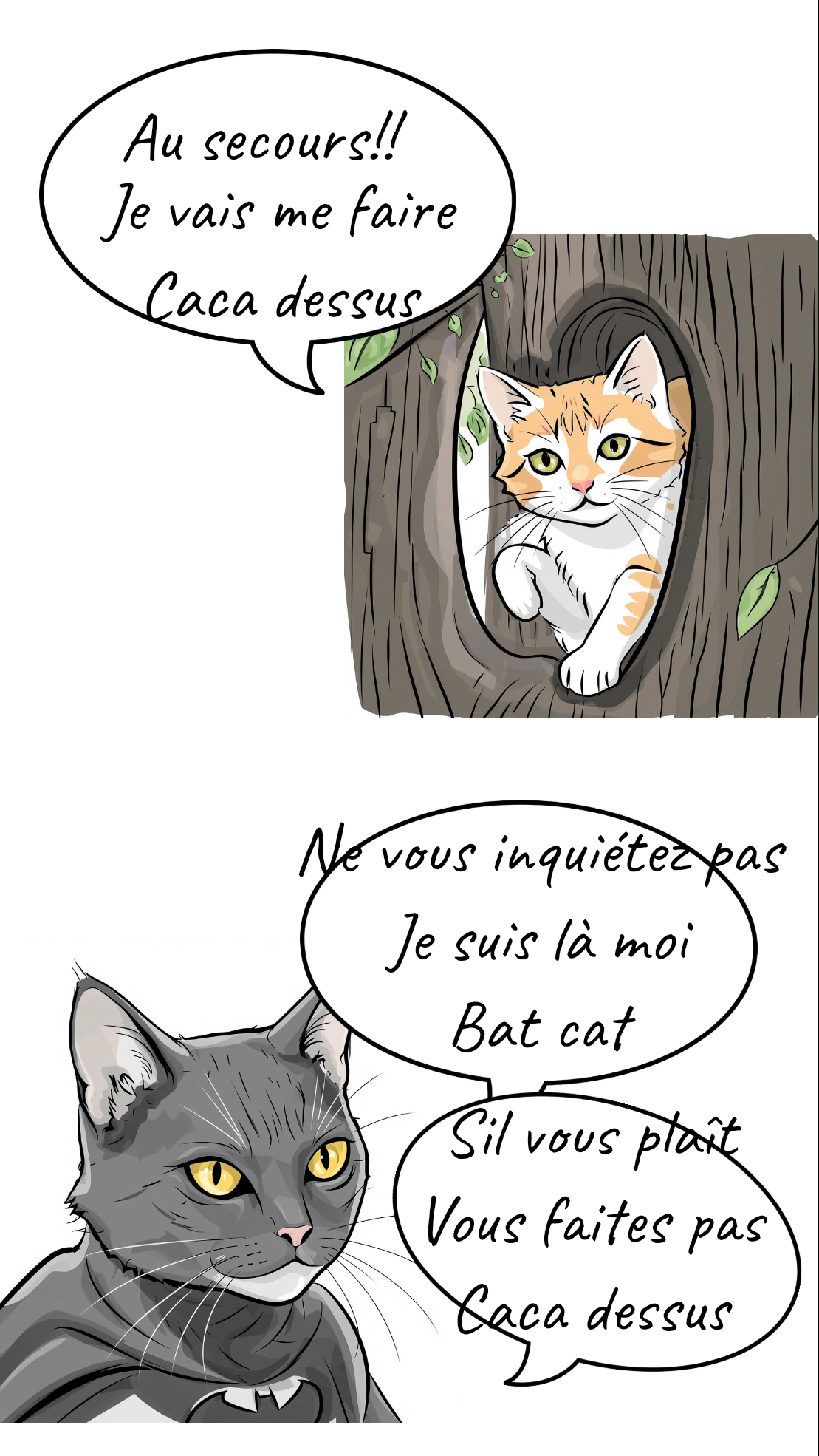 Image de la BD