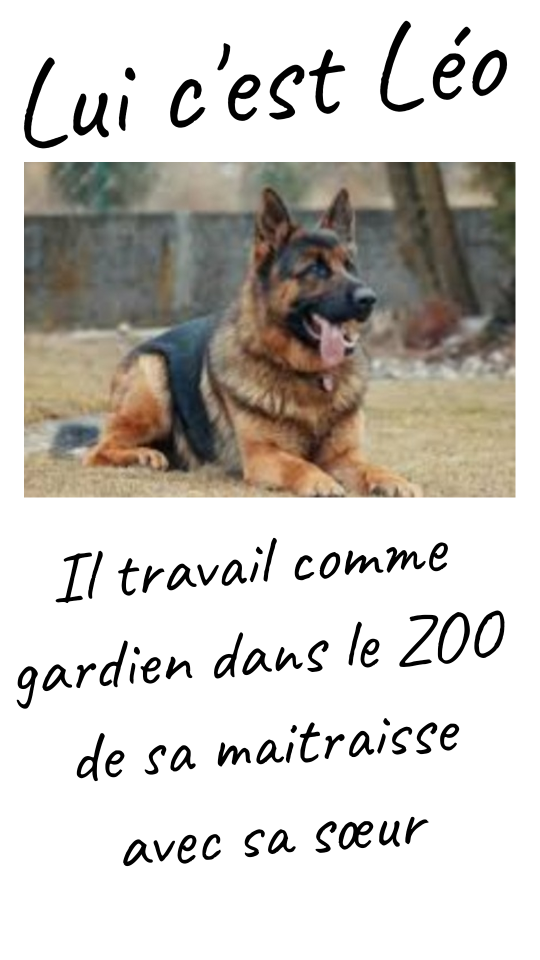 Image de la BD