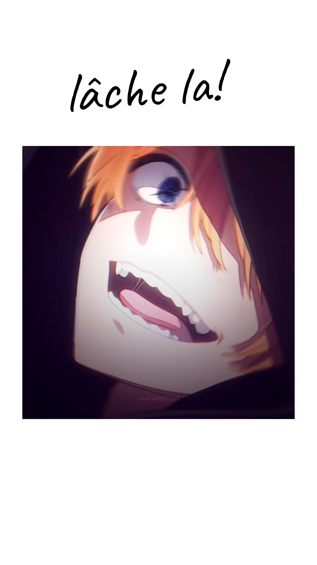 Image de la BD