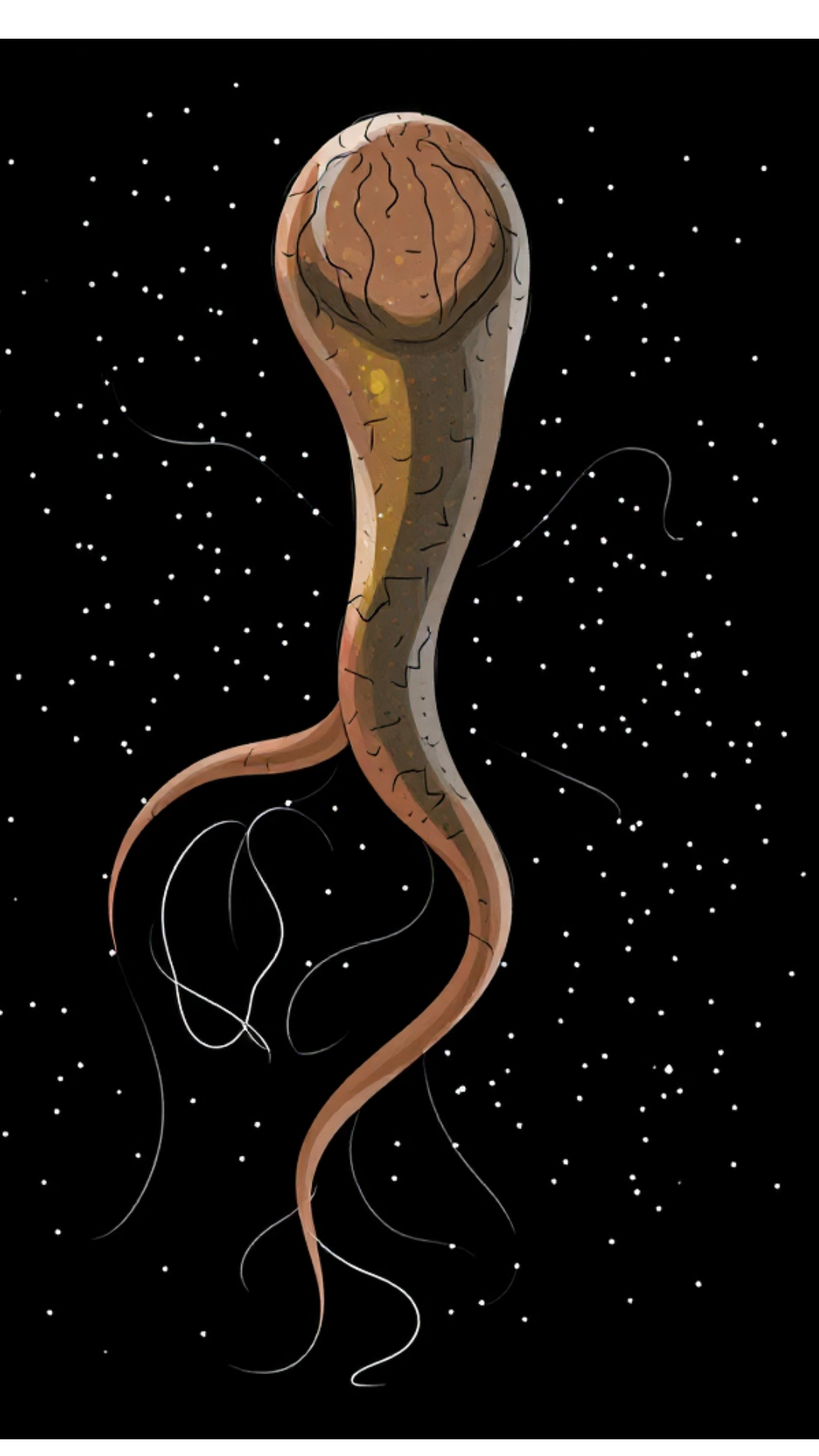 Image de la BD