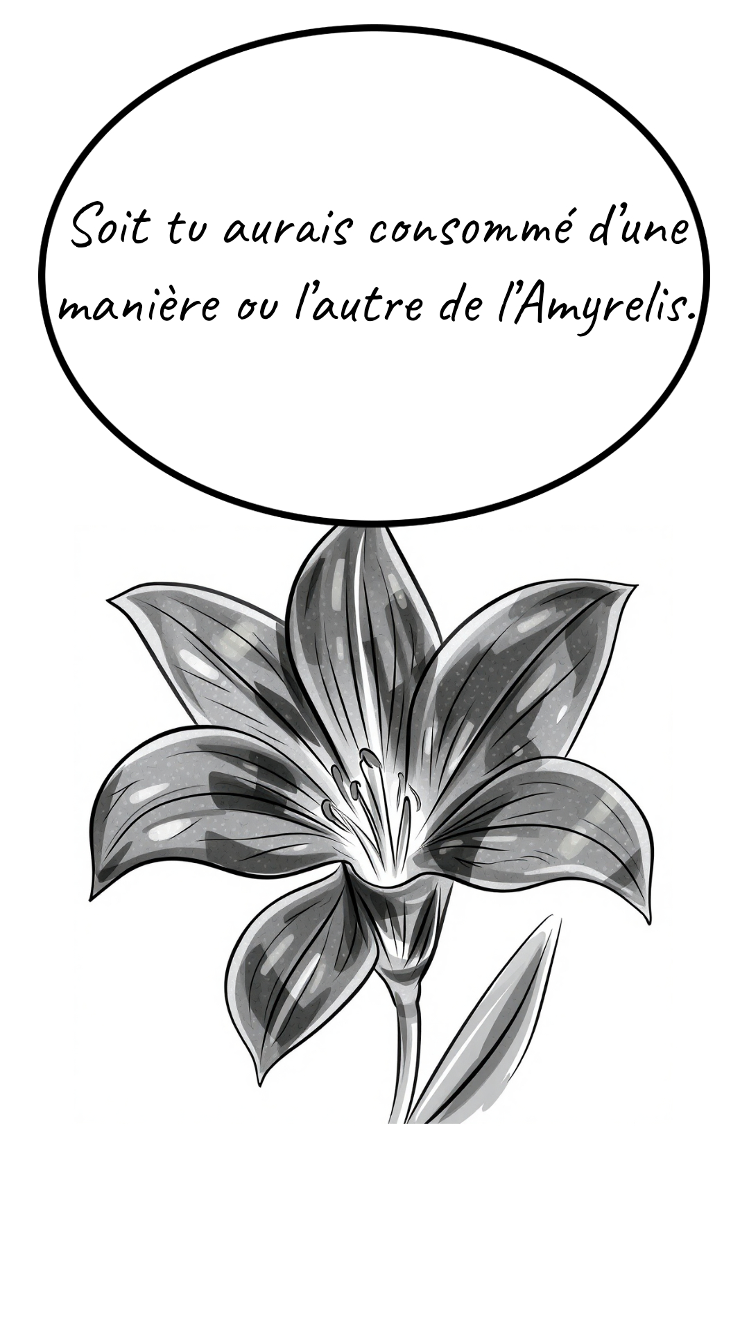 Image de la BD