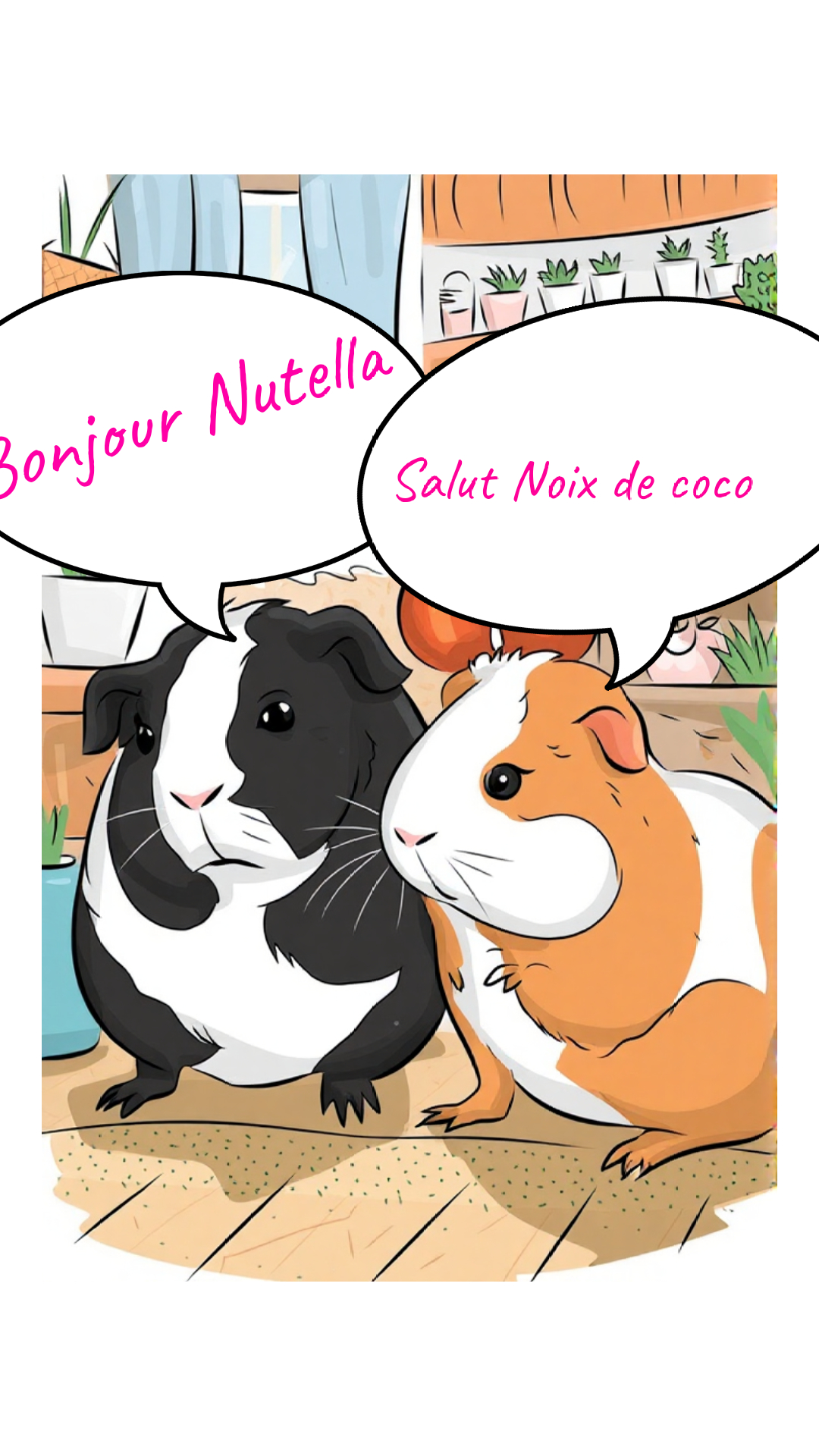 Image de la BD