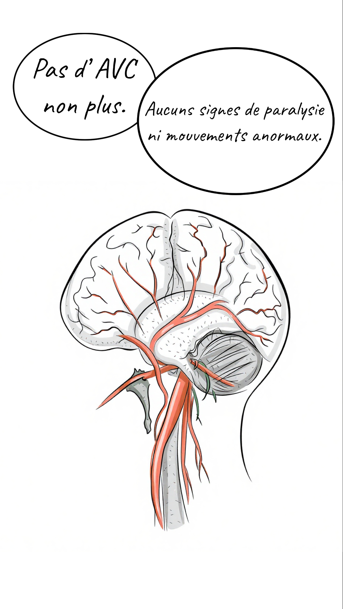 Image de la BD