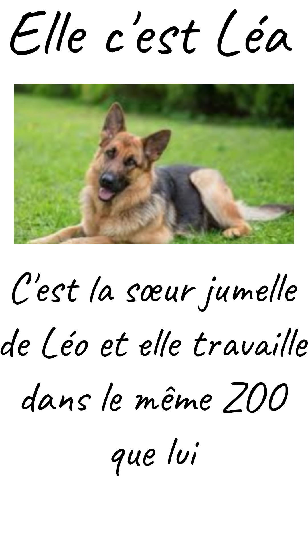 Image de la BD