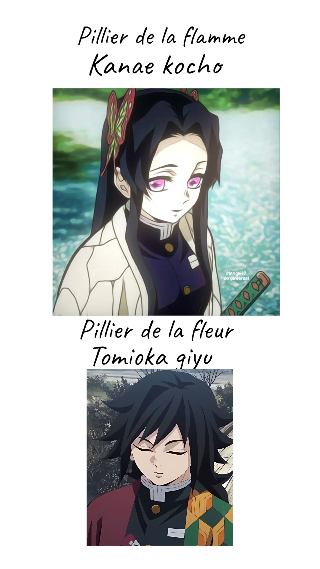 Image de la BD