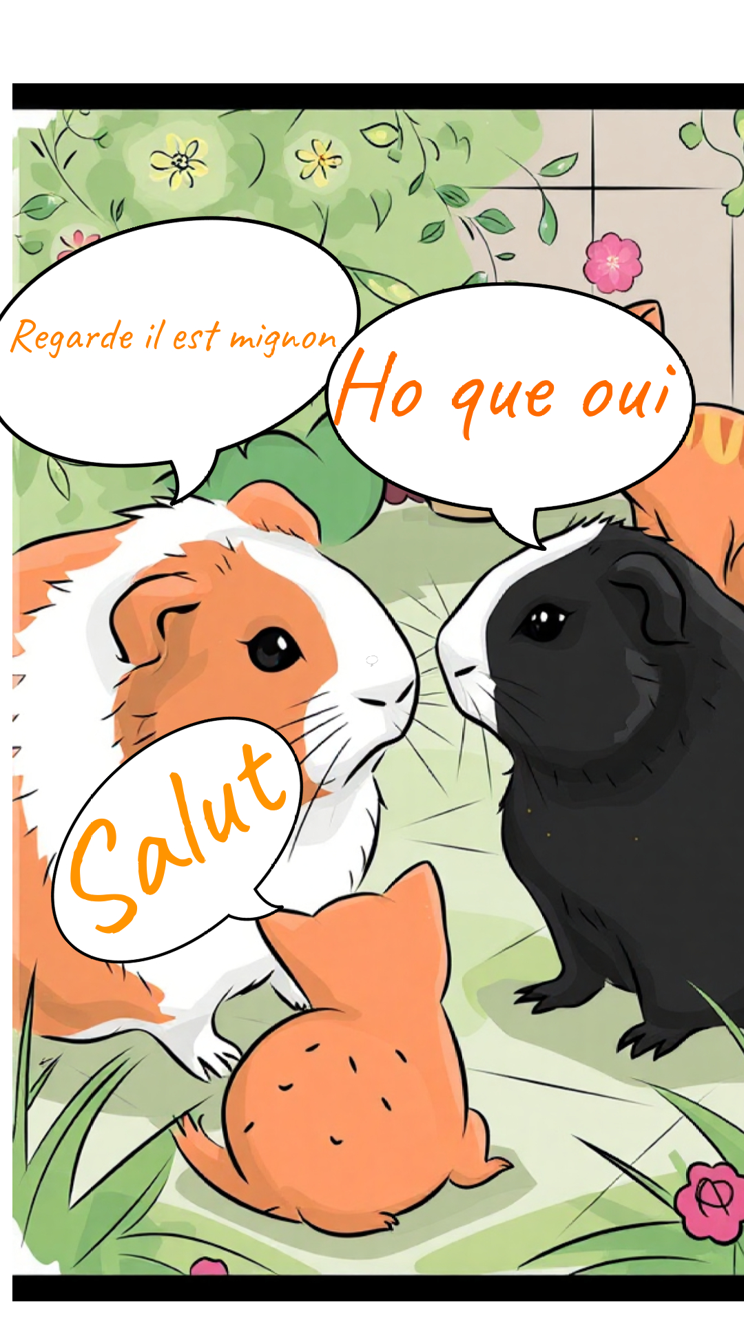 Image de la BD