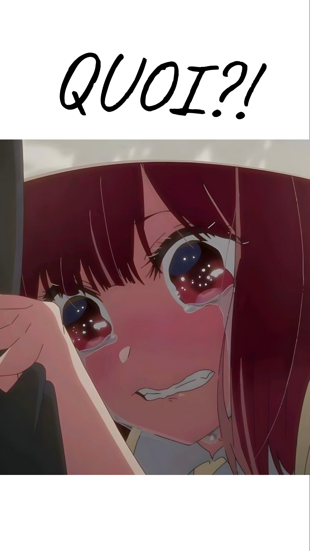 Image de la BD
