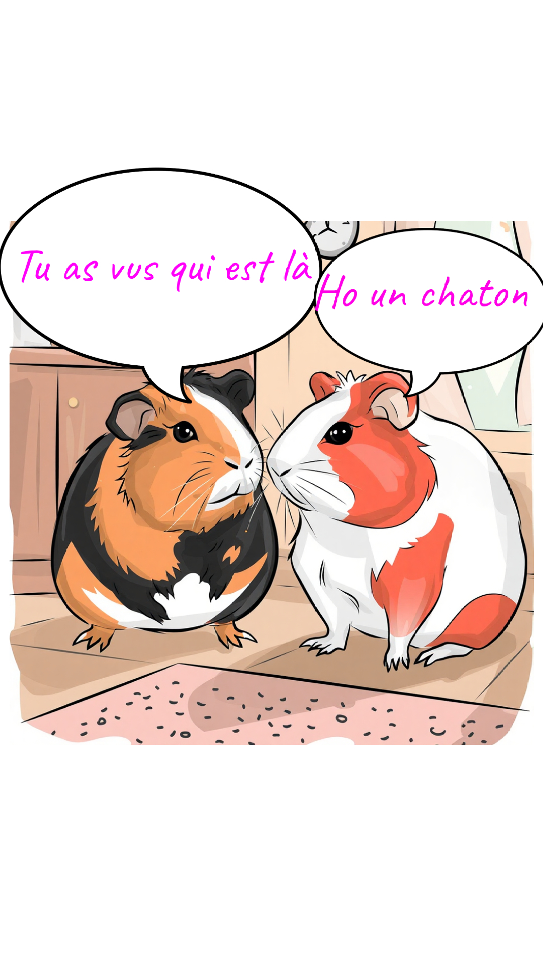 Image de la BD