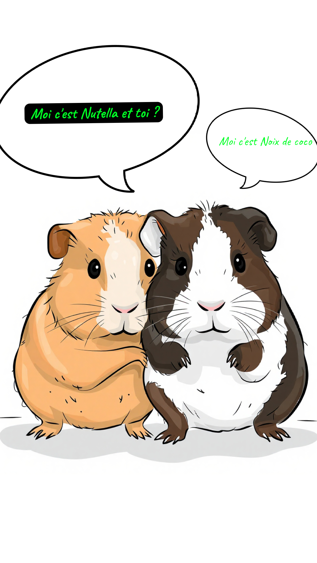 Image de la BD